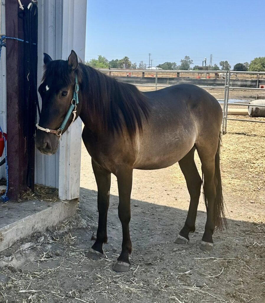 Governor ready for adoption