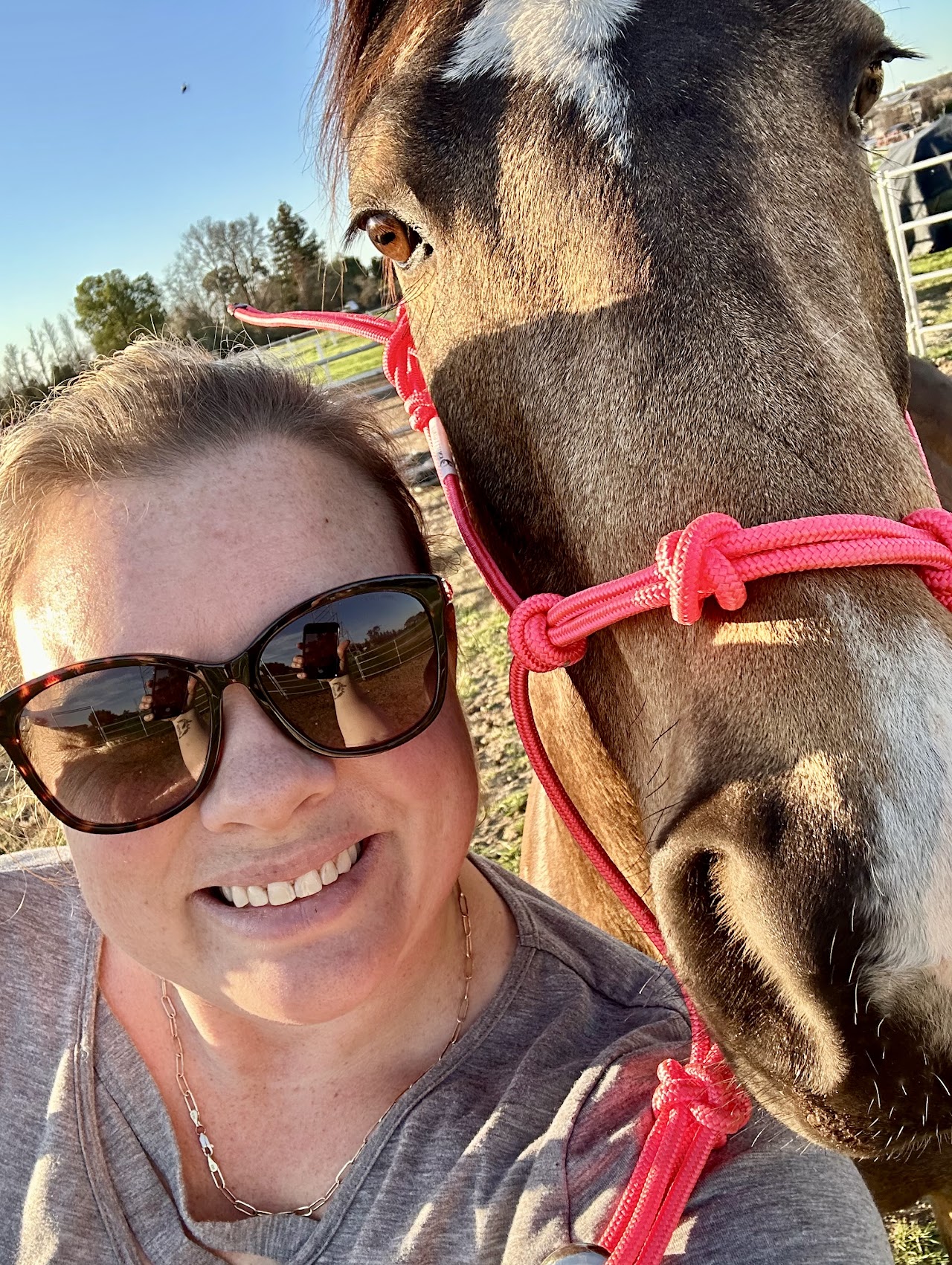 Harvest Moon Horse Rescue Christina Colburn