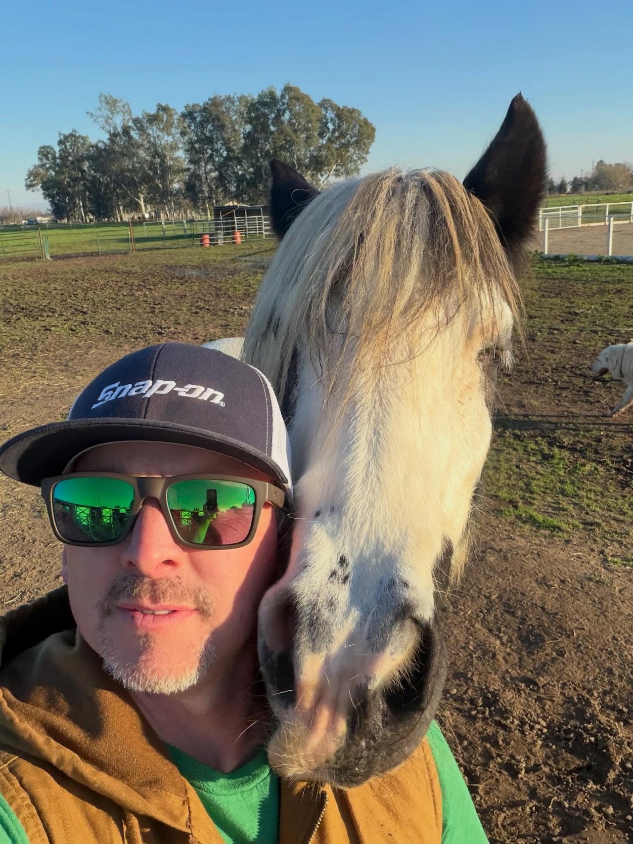 Harvest Moon Horse Rescue Jerett Colburn