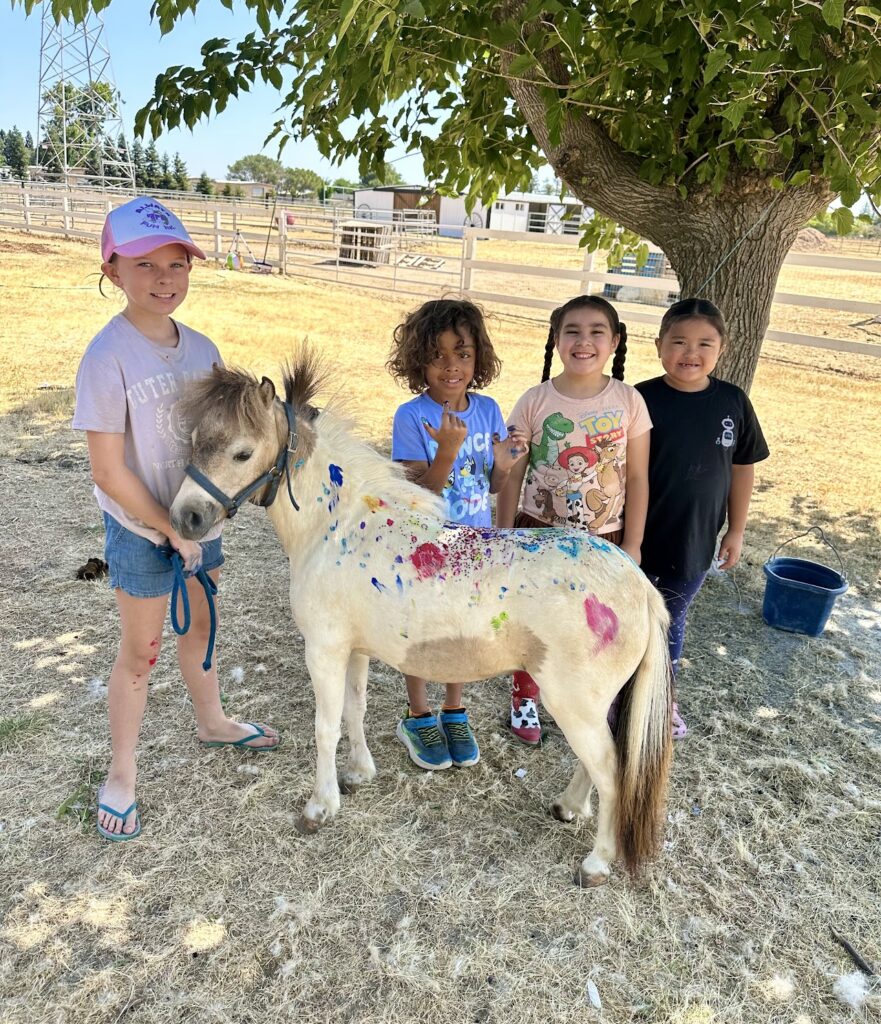 Harvest Moon Horse Rescue Pony Camps
