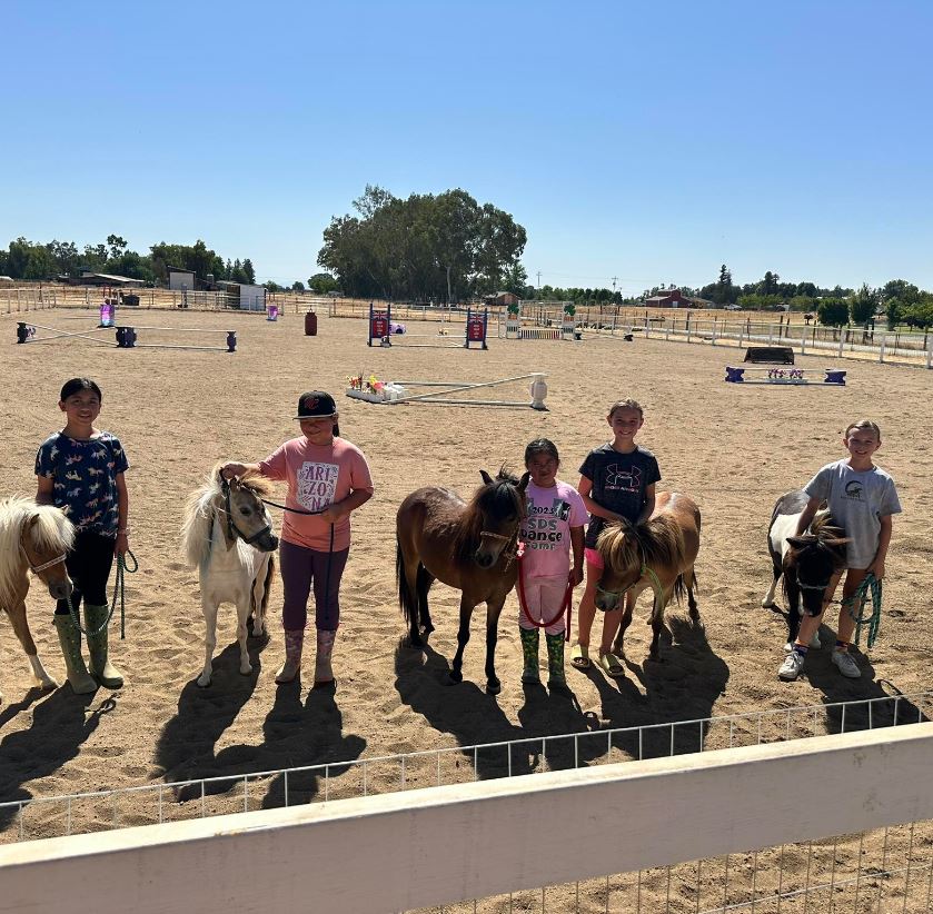 Harvest Moon Horse Rescue Pony Camps in arena