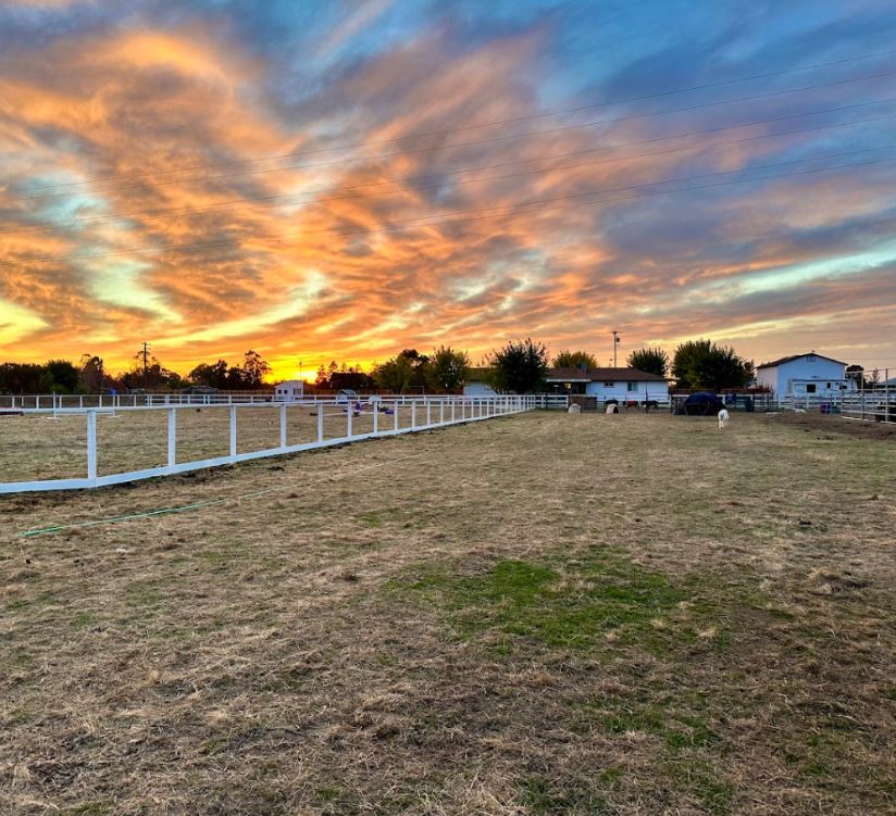 Harvest Moon Horse Rescue pasture