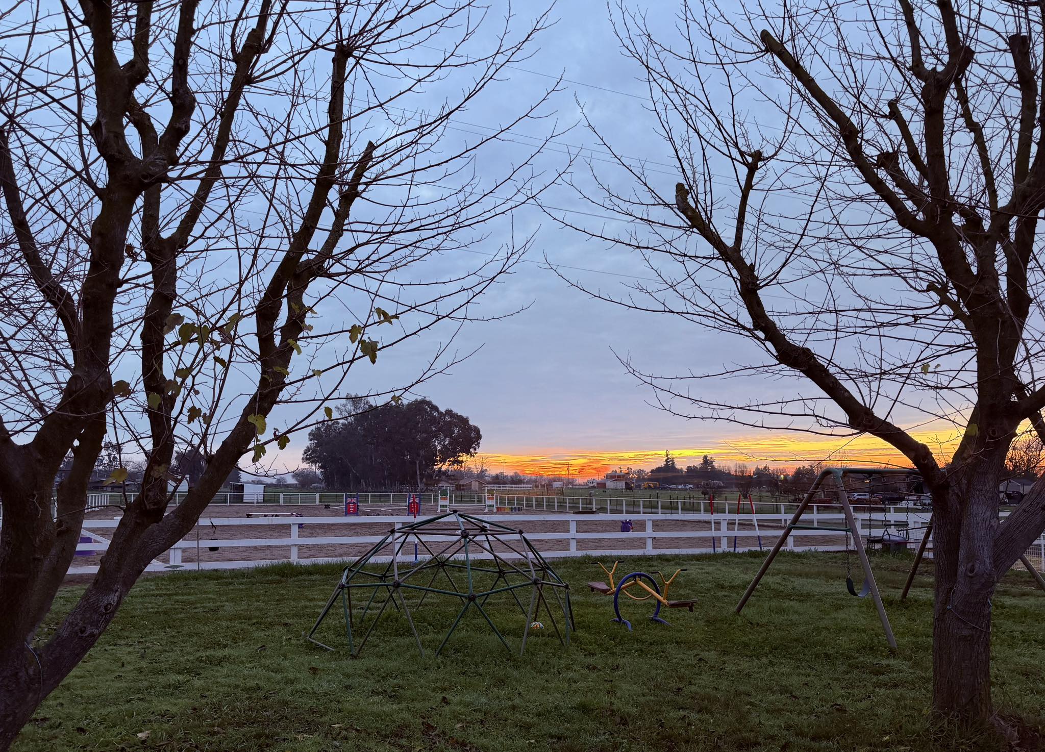 Harvest Moon Horse Rescue sunrise