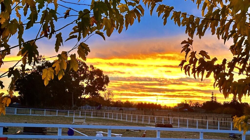 Harvest Moon Horse Rescue sunset arena