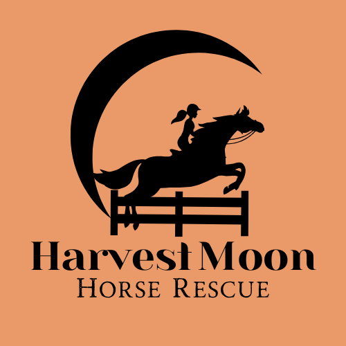 Harvest Moon Logo