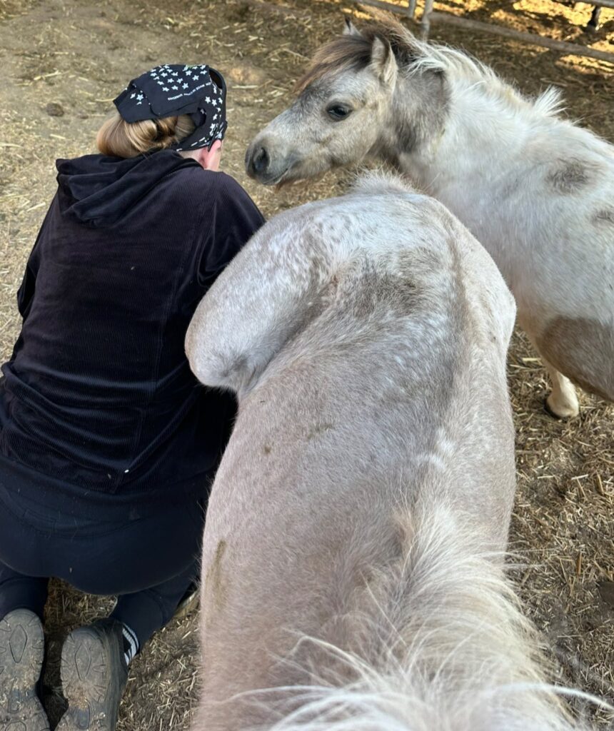 Patches with farrier