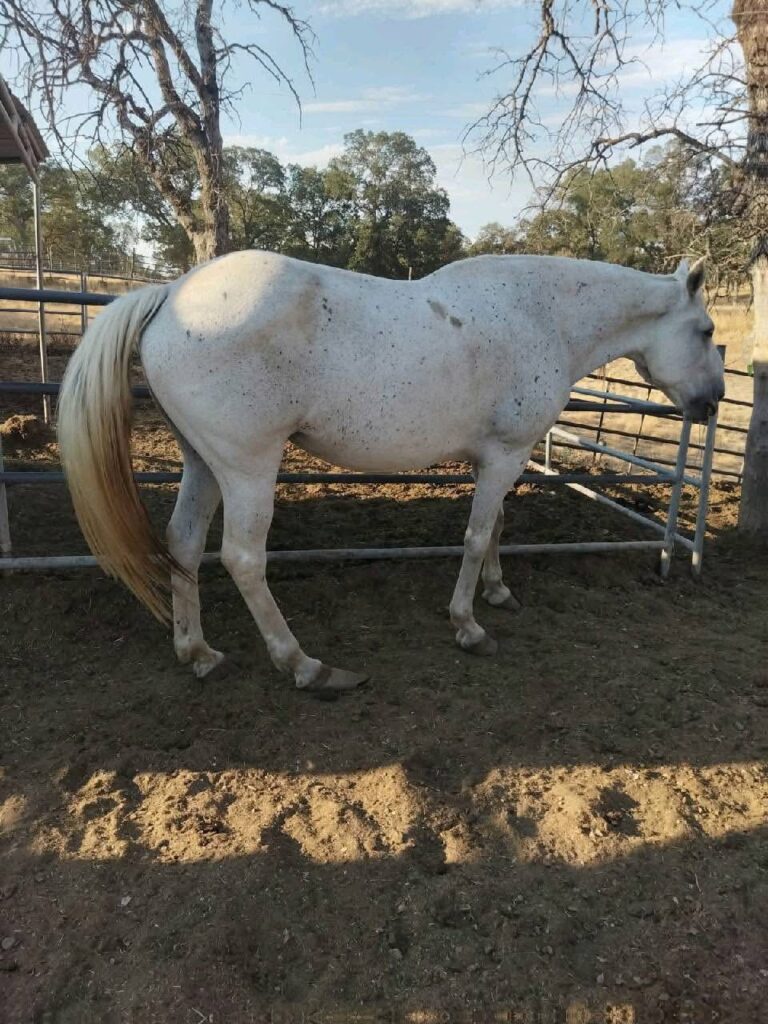 Wednesday before rescue